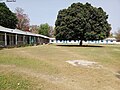 Nimna maadhyamik Vidyalaya, Banghushree.