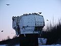 破旧的奈基导弹雷达基地，圆顶上已成为乌鸦的栖息处。