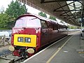 Class 52 No.D1015 restored to 1960's Western Region Maroon livery.
