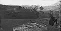 Antietam Battlefield photograph by Alexander Gardner[102]