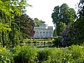 From the garden in May 2010