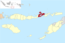 东弗洛勒斯县在东努沙登加拉省的位置