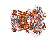 1ppj: Bovine cytochrome bc1 complex with stigmatellin and antimycin