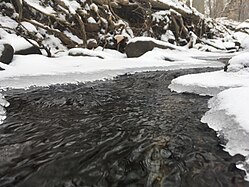 Stony Creek (February 2019)
