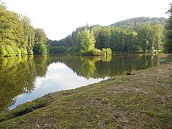 Pond between Lambach and Lemberg