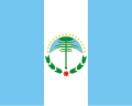 阿根廷内乌肯省省旗