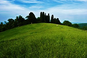 Hills around Bologna