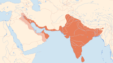 Map of southwestern and southern Asia, with shading indicating the species occurs in the Indian subcontinent and along the coasts of the Persian Gulf and the northern Arabian Sea