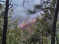 2016 Uttarakhand forest fires