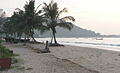 Coconut palms on the beach, Karwar