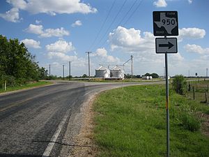 Junction of FM 102 and FM 950 at Matthews