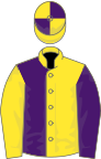 Yellow and purple (halved), reversed sleeves, quartered cap