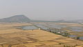 Raulibandha's wetland areas. View from nearby hill top