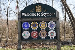 Welcome to Seymour sign