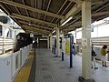 Tokyo Metro platforms