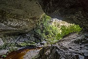 The tannin-rich Oparara River in the West Coast region of New Zealand