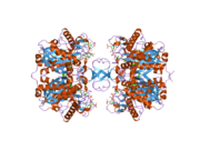 2iby: Crystallographic and kinetic studies of human mitochondrial acetoacetyl-CoA thiolase (T2): the importance of potassium and chloride for its structure and function