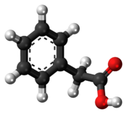 Ball-and-stick model of phenylacetic acid