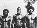 Image 56Men from Bathurst Island, 1939 (from Aboriginal Australians)