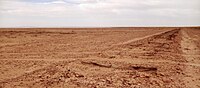 Trackbed of the former Central Australia Railway – the "old Ghan" line – near Lake Eyre South (left distance)