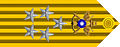 General Special Class rank insignia (ROC).jpg