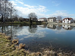 Houses around a pond