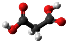 Ball-and-stick model of the malonic acid molecule