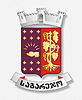 Official seal of Sagarejo Municipality
