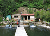 An economically sustainable, community-owned fish farm, located near Ixtlan.
