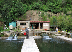 Communal Zapotec fish farm in Ixtlán de Juárez, Mexico