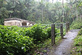 Trail in the Baño de Oro site