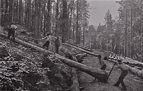 Workers logging trees
