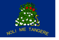 Reverse, 1861 flag