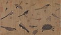 Image 14Description of rare animals (写生珍禽图), by Huang Quan (903–965) during the Song dynasty. (from History of biology)