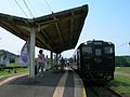 Platform, 2009