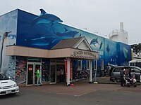 越前松岛水族馆