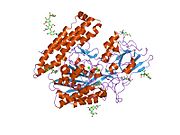 2jbj: MEMBRANE-BOUND GLUTAMATE CARBOXYPEPTIDASE II (GCPII) IN COMPLEX WITH 2-PMPA (2-PHOSPHONOMETHYL-PENTANEDIOIC ACID)