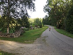 Rõuge-Kurgjärve-Haanja road on the border of Udsali and Vadsa villages