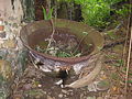 A copper vat for distilling rum from the old sugar mill