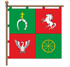 Flag of Baikivtsi