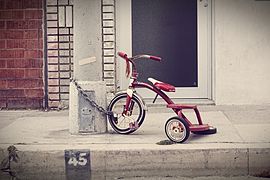 Radio Flyer Tricycle