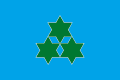 Flag (1966–2005)