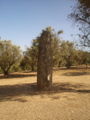 Almendres Menhir