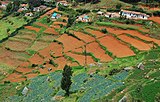 CE12. Vegetable plantations in Nilgiri mountains of Tamil Nadu. Graduated terraced steps are commonly used to decrease erosion and surface runoff in sloping terrains of Nilgiris.