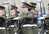 Passing out, Irish Defence Forces.