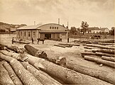 Sawmill with log yard