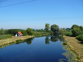 The estuary of Zala river