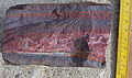 Image 31A banded iron formation from the 3.15 Ga Moodies Group, Barberton Greenstone Belt, South Africa. Red layers represent the times when oxygen was available; gray layers were formed in anoxic circumstances. (from History of Earth)