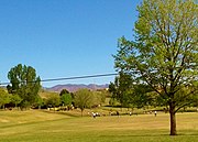 Bear Creek Terrace - Play field and play ground in the background