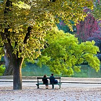 Park scene